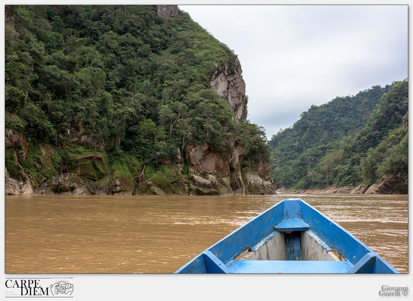 NAVIGATION IN THE JUNGLE.jpg